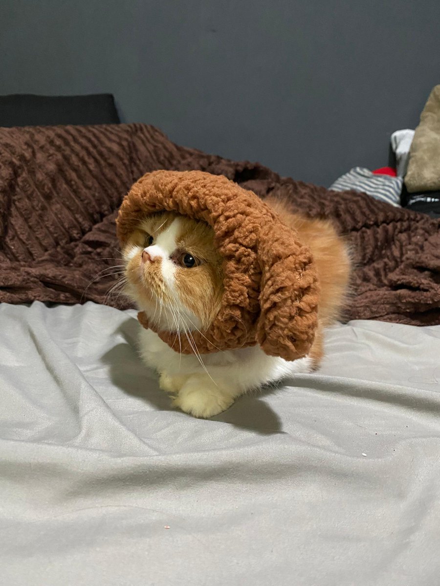 meriey crismus  evebodi !!!  Lukk at mibol  niu haet !  (y  du ay  luukign  laik. fryed Chimken ?)