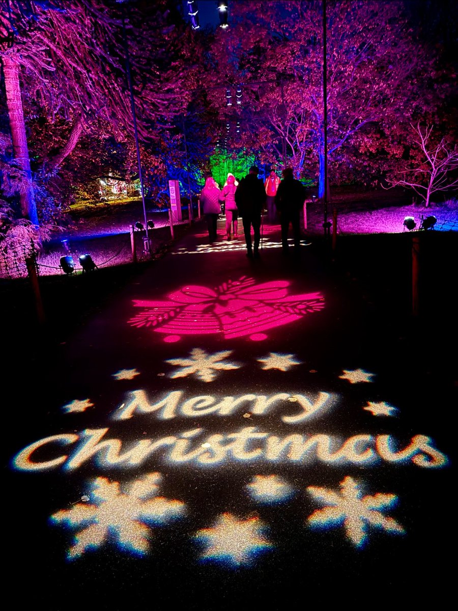 Best wishes to everyone celebrating today, here's to a very Merry Christmas! 🎄 #VisitEngland #christmasatkew ❤️ 📍: Kew Gardens