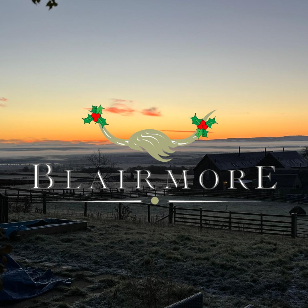 BlairmoreFarm's tweet photo. Wishing you a very merry Christmas from everyone here at Blairmore Farm! 🌟🎁

#christmas #merrychristmas #love #winter https://t.co/qWKaN2jkci
