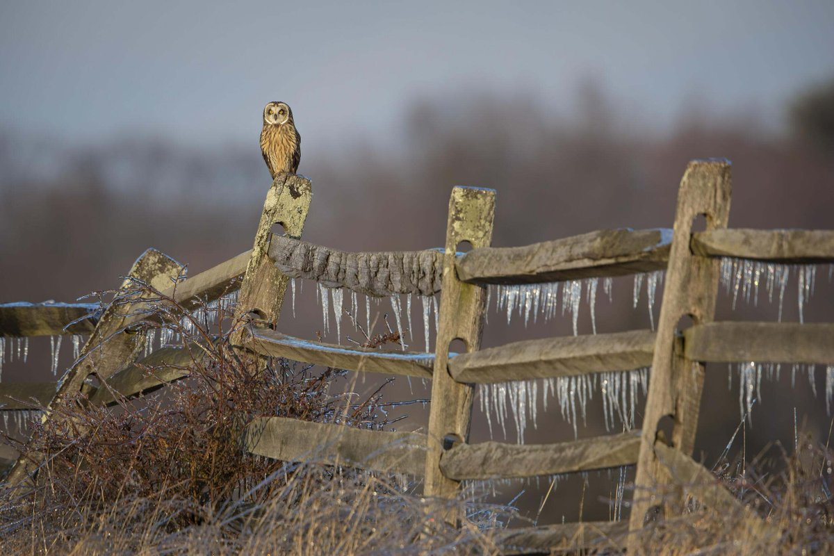 nature_TN's tweet photo. Warm wishes throughout the holidays from The Nature Conservancy's staff in Tennessee. 

📸 Scott Suriano/TNC Photo Contest 2019 https://t.co/m4mMwJ8i4W