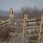 Photo by The Nature Conservancy in Tennessee (@nature_TN)