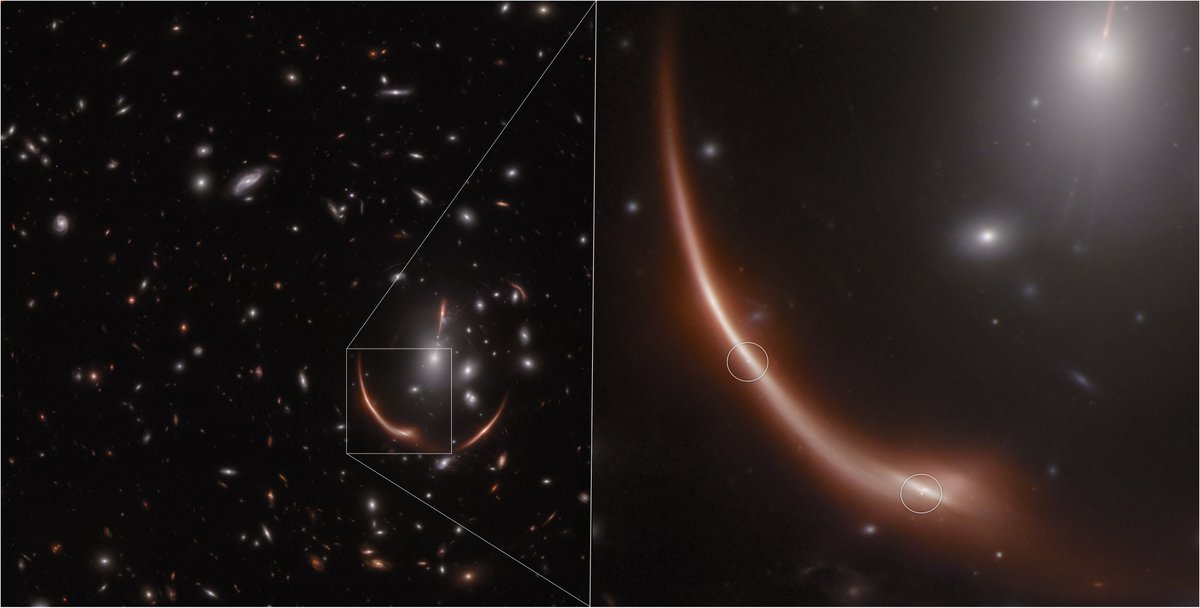 ESA Webb Telescope tweet media