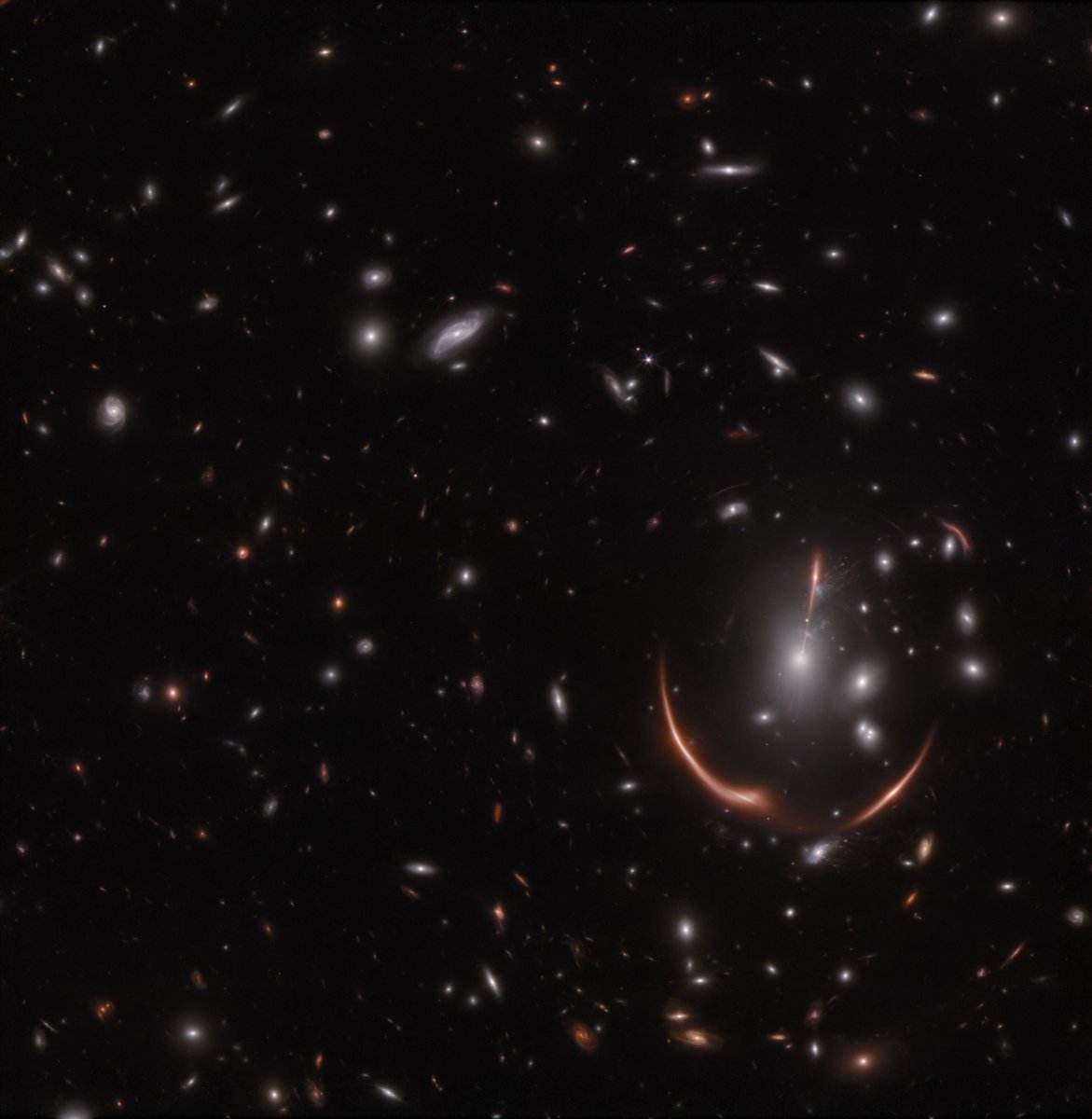 ESA Webb Telescope tweet media