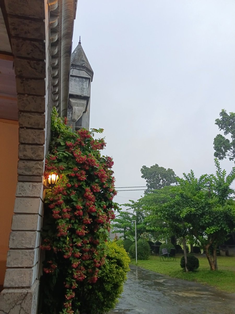 sukak banget sih sama konsepan tempatnya, emang agak minggir dikit dari pisat kota