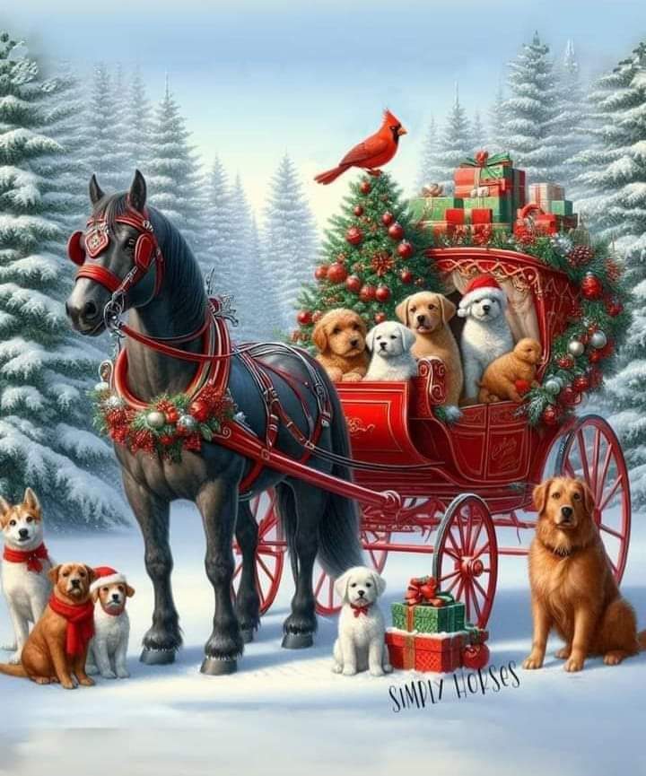 manson_bea's tweet photo. @PedroPascalFR Joyeux Noël https://t.co/ixenvCxKgK