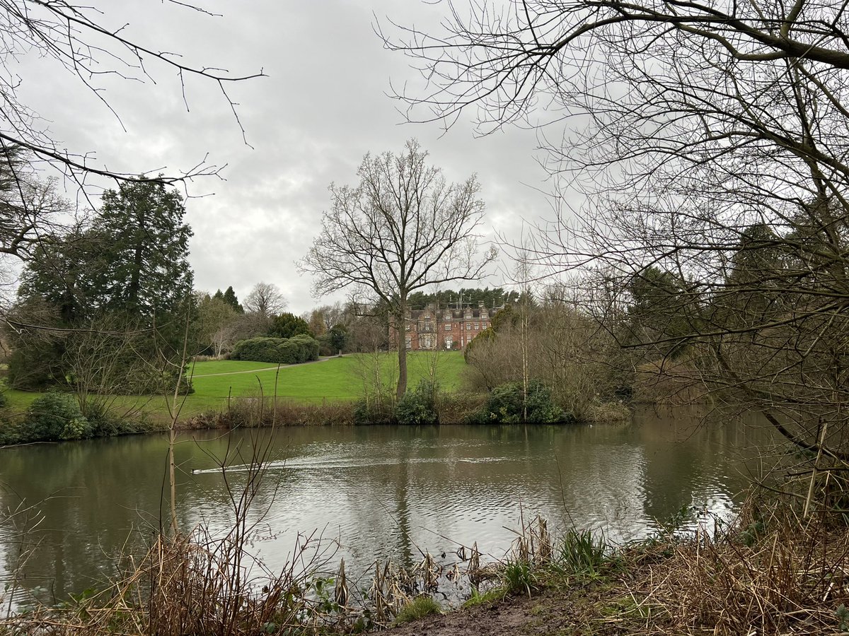 amy_d148's tweet photo. Beautiful walk around Keele with Roo 🎄🐶 #keelehall #keele https://t.co/PzyWW2Sg6I