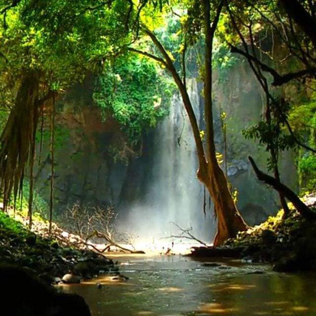 BehiwotTilahun's tweet photo. Let's not forget Ethiopia's incredible cultural heritage, diverse landscapes, and a promising future! We stand united in overcoming any challenges and paving the way for a prosperous nation. #Ethiopia🇪🇹 #Africa https://t.co/YW2FOnCk8a