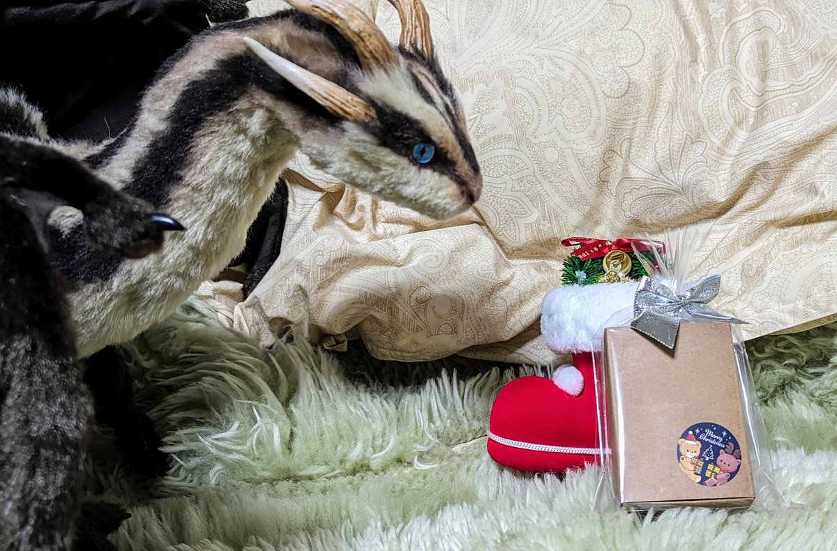 メリークリスマス🎅🎄✨
我が家の花虹生ちゃんにとっても素敵なクリスマスになったようです😊💕
🐉Lilacoo様（<a href="/sweet_mokaketu/">らいらっくー</a>）
🧸いとわたあめ様（<a href="/itowataame/">💭いとわたあめ💭美桜</a>）