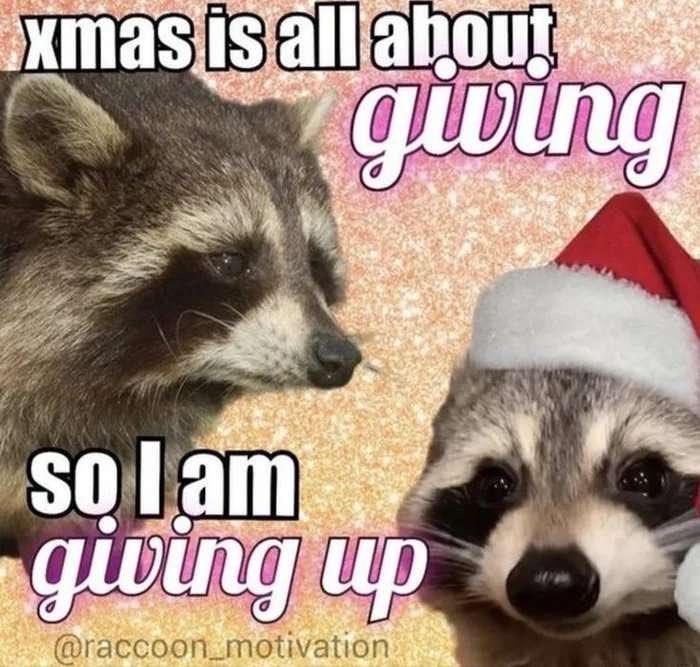 All I want for Xmas is a few hours sleep 😭