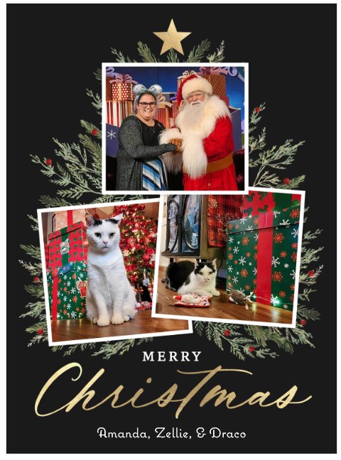 Merry Christmas 🎅 🎄