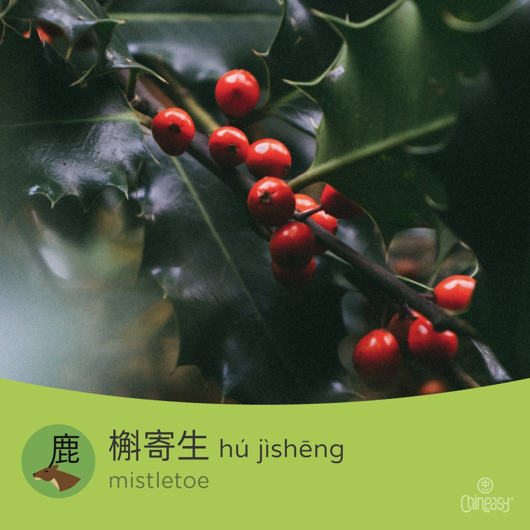 Let’s learn some Christmas words! 🎄🧦🌲🎁 💚 Expand your festive lexicon! 📚🎅 #ChineseLanguage #ChristmasLearning #FestiveVocabulary #HolidaySpirit