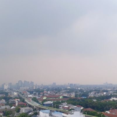 rosalinda mata osuna tweet media