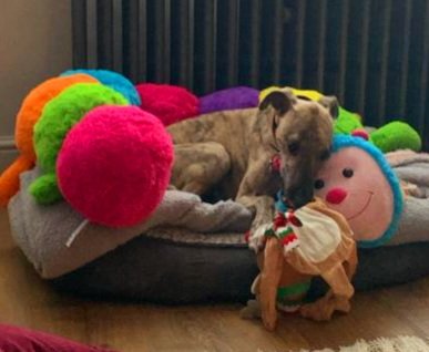 Lovin me new toys 🧸