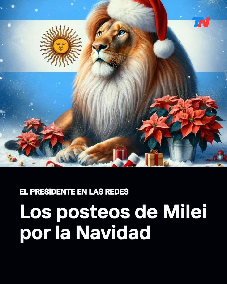 TN - Todo Noticias tweet media