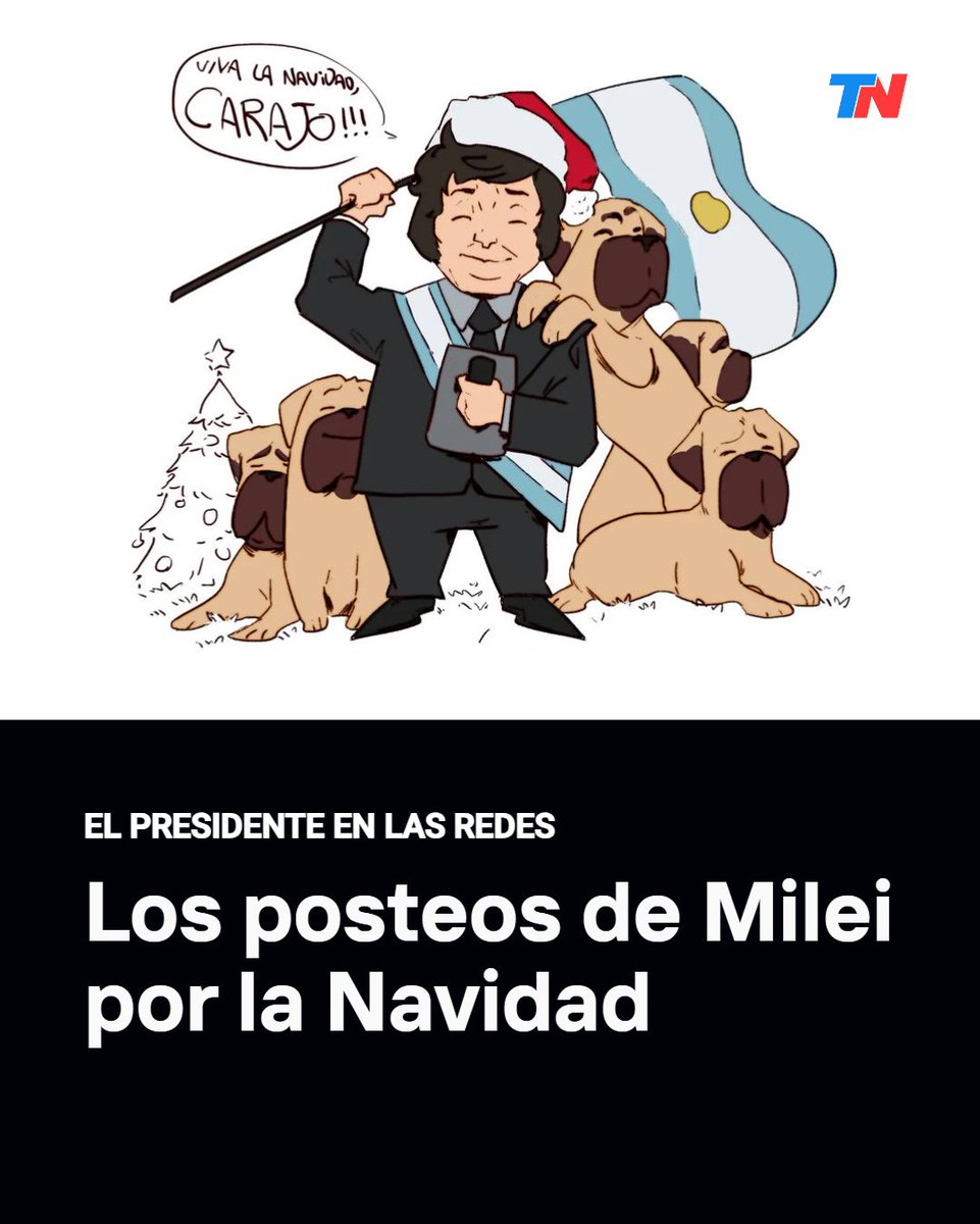 TN - Todo Noticias tweet media