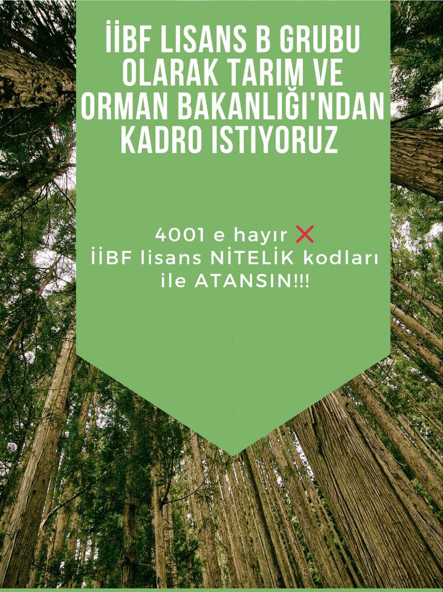 OlmazlarD's tweet photo. @ibrahimyumakli Mezun sayısına oranla alım yapılmayan bir bölümü okumanın mağduriyetini yaşıyoruz sayın bakanım iibf ye p3ten kadro talebimizi duyun lütfen🙏 https://t.co/VyWku9CnrB