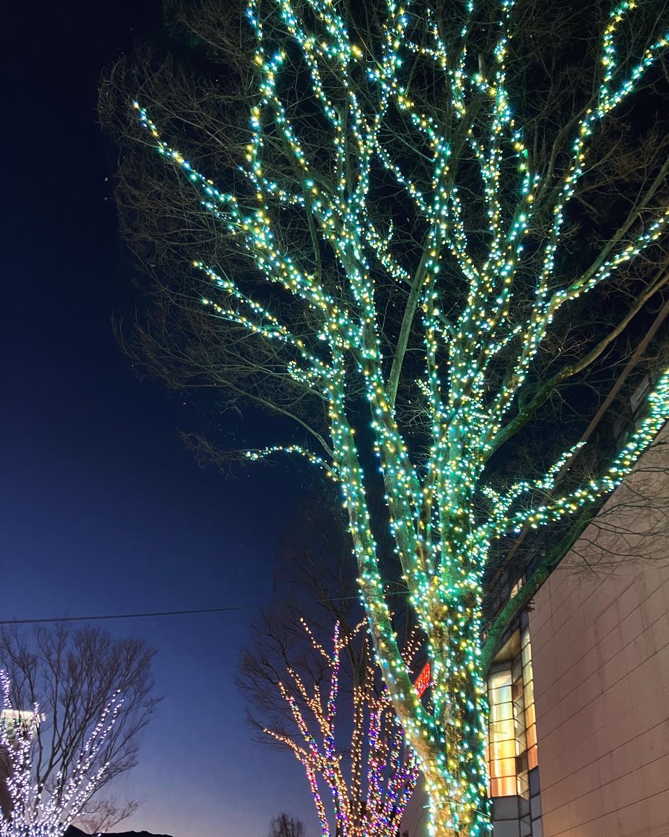 KiWAMI86's tweet photo. Merry Xmas☃️ https://t.co/dCPmlIEG2Z