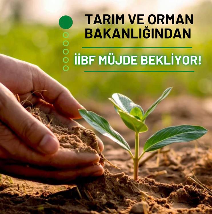 OlmazlarD's tweet photo. @ibrahimyumakli Mezun sayısına oranla alım yapılmayan bir bölümü okumanın mağduriyetini yaşıyoruz sayın bakanım iibf ye p3ten kadro talebimizi duyun lütfen🙏 https://t.co/mwxdUHq5NB