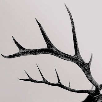 Luxurme_12's tweet photo. @kalisdice Luego está #ProyectoEnemies, una historia de alta fantasía con romance de enemies to lovers, donde une caballere tendrá que cooperar con uno de los asesinos más mortíferos del continente, para buscar respuestas a su pasado y detener una amenaza que se cierne al mundo https://t.co/1I27qkLlSb