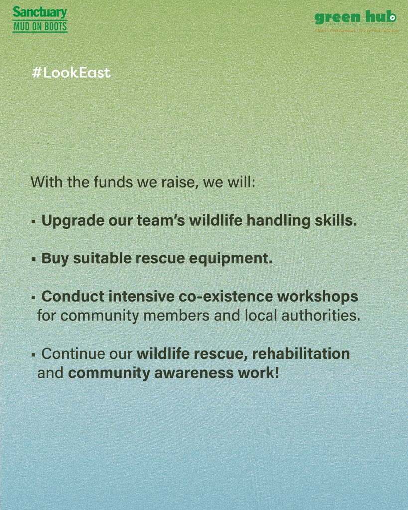 Sanctuary Asia tweet media