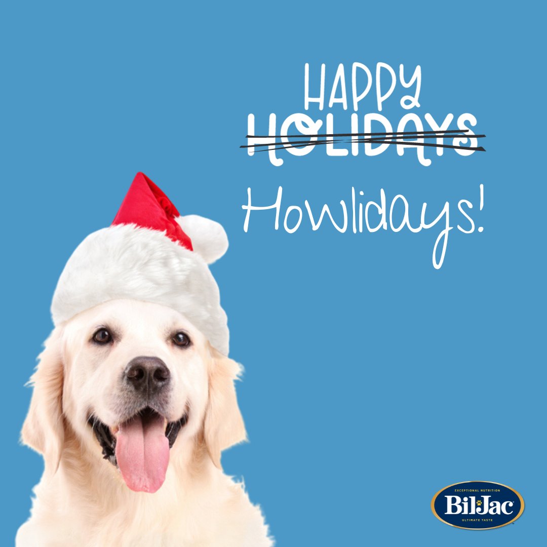 Wishing you all a very happy holiday! 🐶🎄