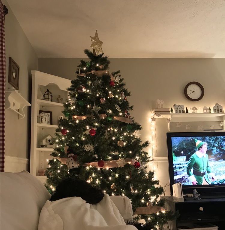 JRMS_teddy's tweet photo. 🎄 https://t.co/jn2fYWkeON