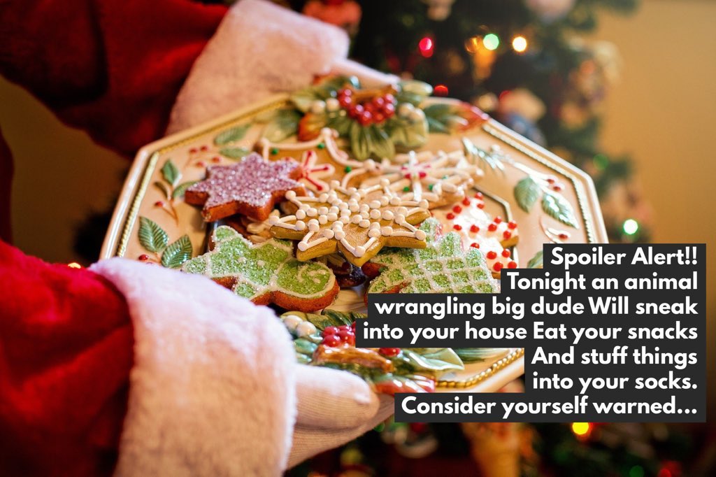 rrrrroach's tweet image. 