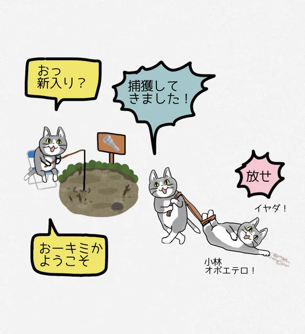 時々現れる小林という名のオタク猫。
沼の番人と協力関係にあるらしい。
#現場猫 
