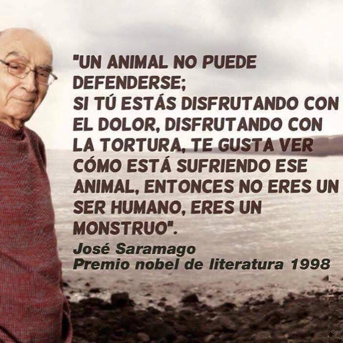 ruben_prz's tweet photo. Prefiero mil veces a Saramago que a algún otro Nobel que apoya la tauromaquia y a gobiernos que atacan a la gente trabajadora. https://t.co/F1eDotJyDz