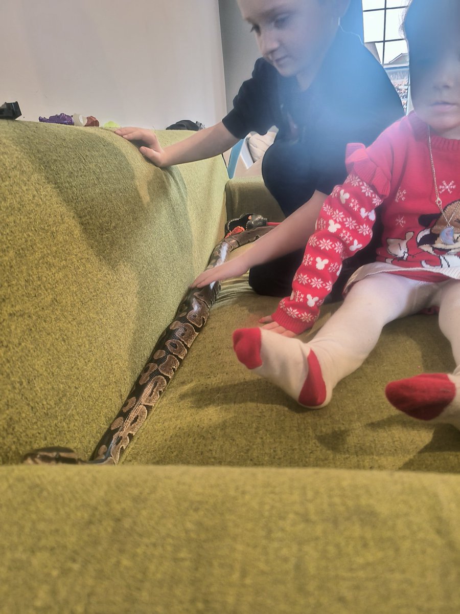 Say to hello to Dave the rescue snake. (Not an Xmas present, just timing worked out)