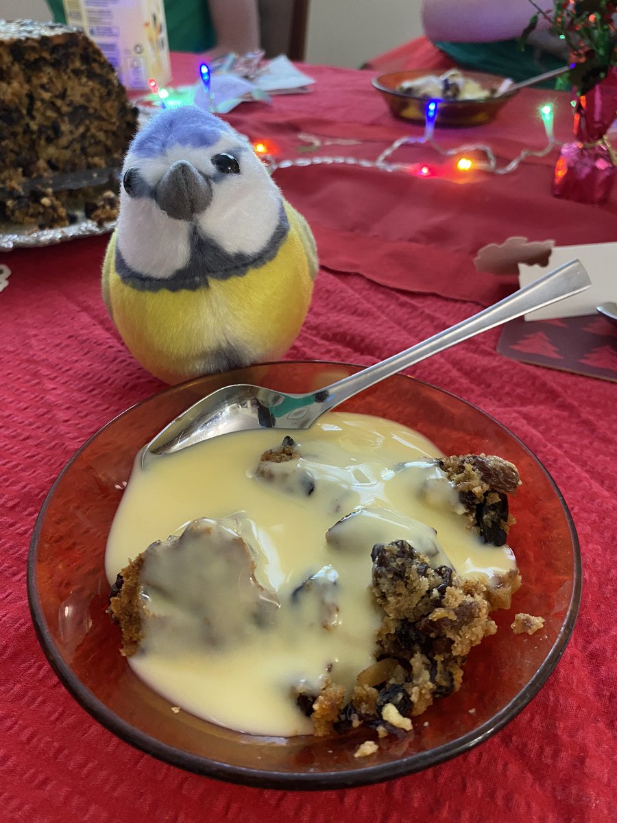 Ich habe die Fotos von Weihnachts-Mittagessen vergessen. Manchmal hat Tante Ejays Familie zu Weihnachten gebratenes Truthahn und Gemüse aber heute gab es kalten Truthahn, Schinken und verschiedene Salate 😋