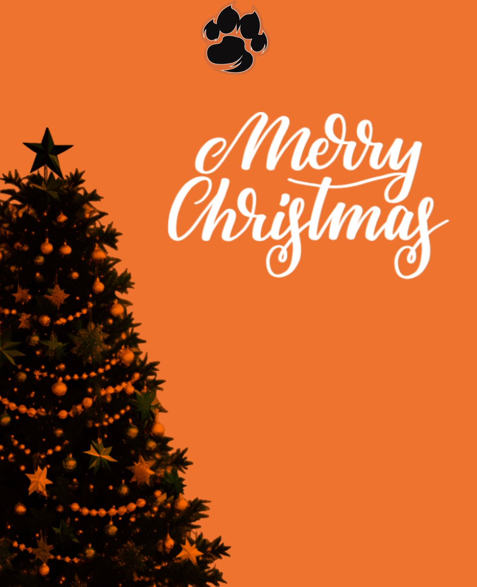 Merry Christmas from your Snyder Tigers 🎄 🎁