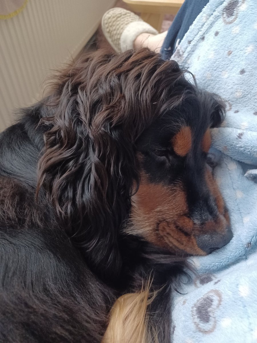 CorineSimal's tweet photo. #Loveettendresse ♥️🥰😍 https://t.co/Bqv5PU8kT9