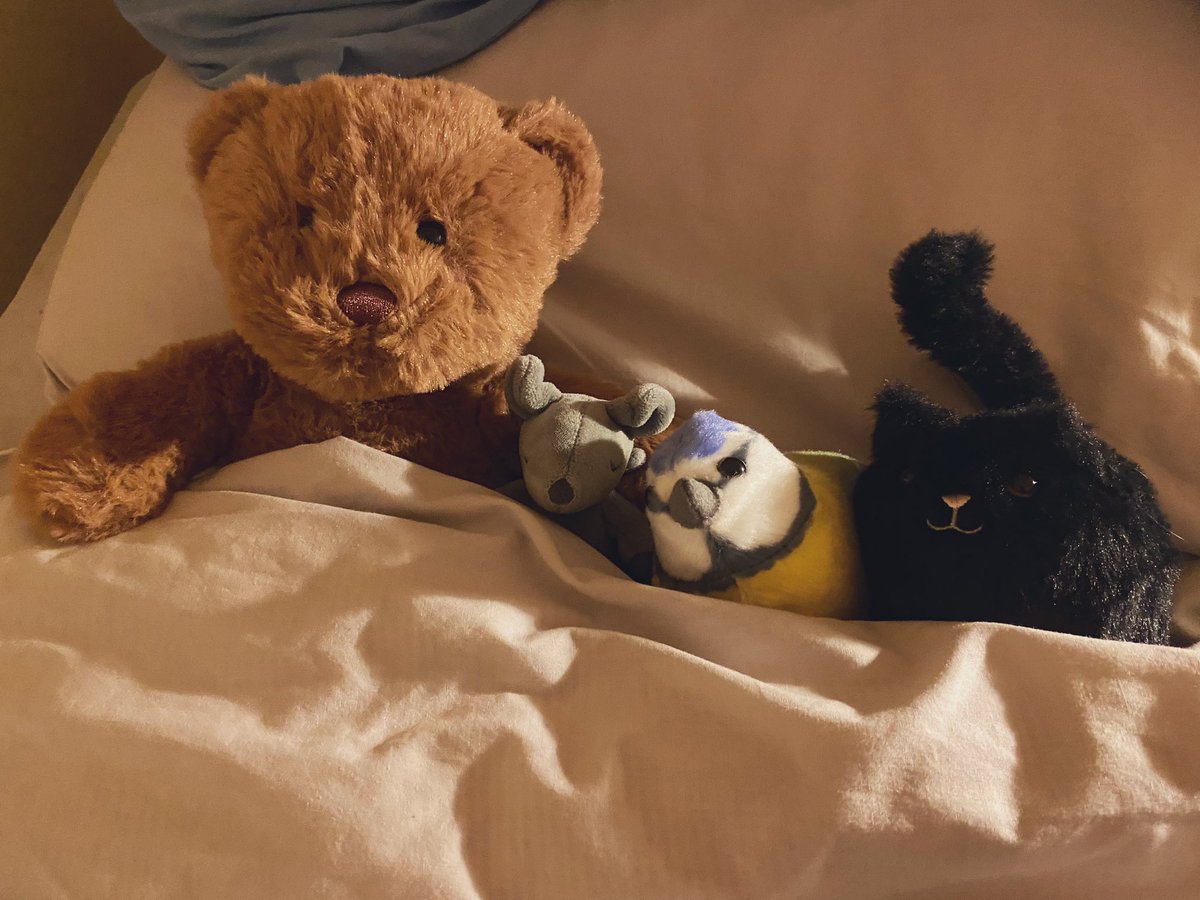 Abendsnack für die #Reisemeise und jetzt kuscheln wir im Bett.
Gute Nacht aus Maustralien 😘💤