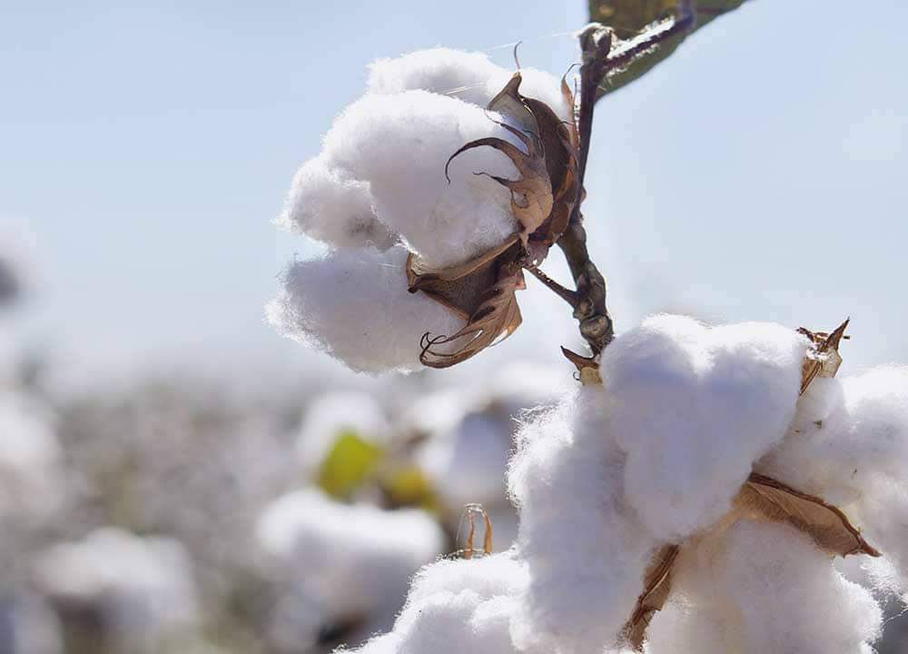 Sissoko Sora Damba tweet media