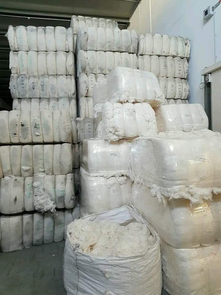 🔴Le Mali🇲🇱 retrouve son rang de premier pays producteur #Africain de #Coton au titre de la campagne 2023-2024 avec 690 000 tonnes devant le Bénin🇧🇯 553 000 tonnes.

Même en guerre des résultats sont là…félicitations 🎊🎉

La France🇫🇷 est un Etat de braqueur....