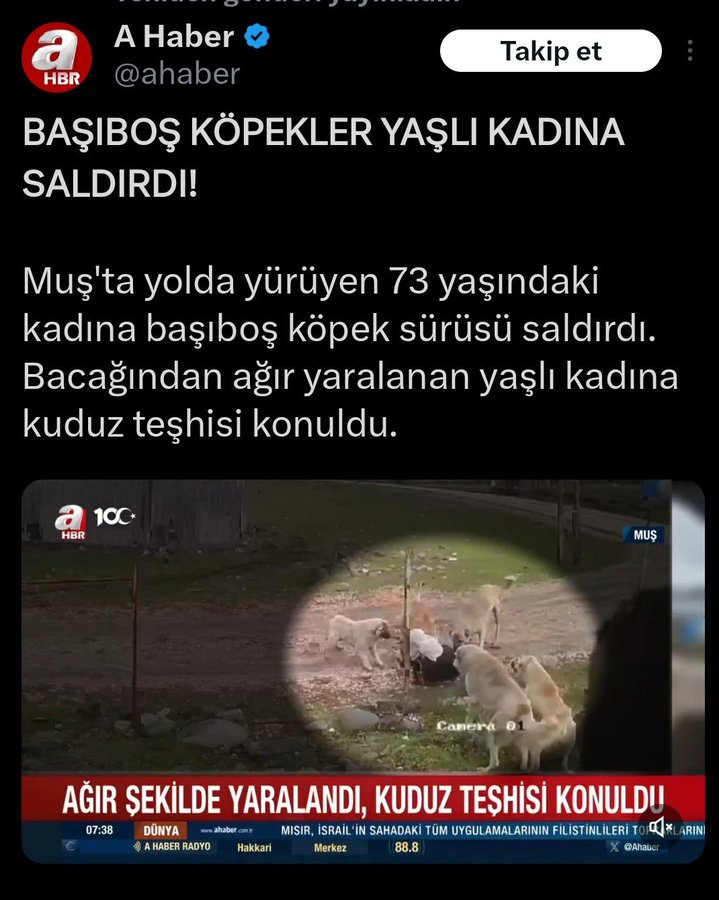 73 yaşındaki teyzemize saldıran köpekler! Bunların başıboş dolaşmasına neden olanlar bunun hesabını vallahi Allaha veremeyecek!

  #BeşiktaşınMaçıVar Sahaya Fatih Özkan Kadıköy'e #kıslasizbedelli