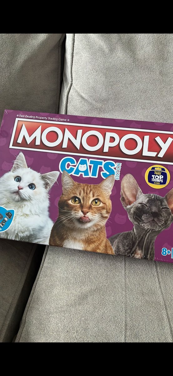 TommyWoods tweet media