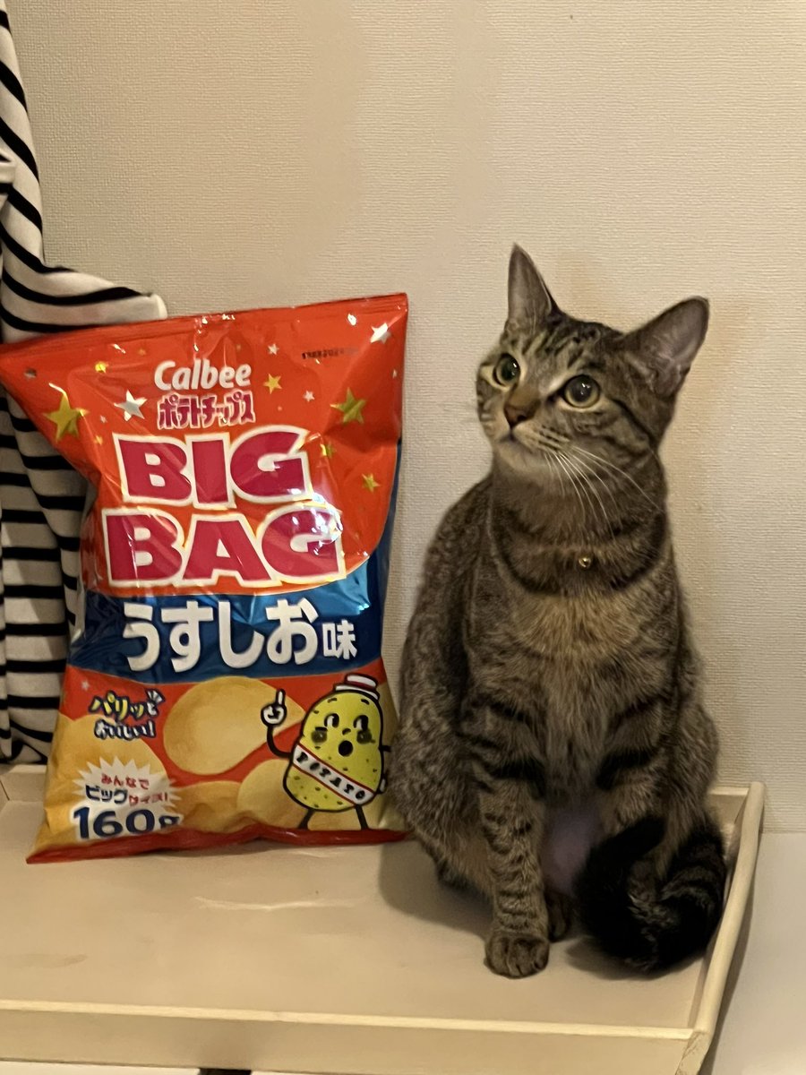 PIYONE_Twitch tweet picture