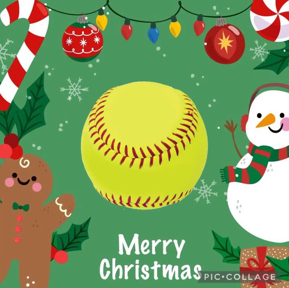 Merry Christmas from our gator family to yours!