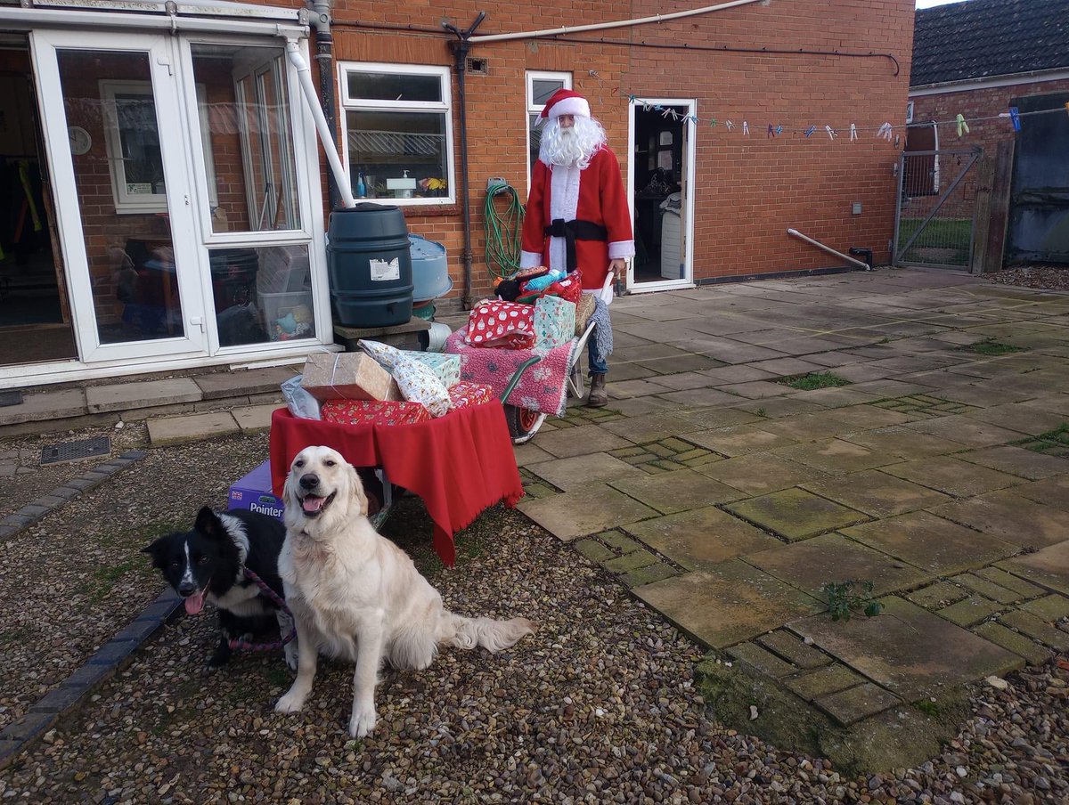 Santa arrived at the sanctuary with his helpers. Merry Christmas from everyone at Fenbank. Thank you for your support. 🐾🐾
