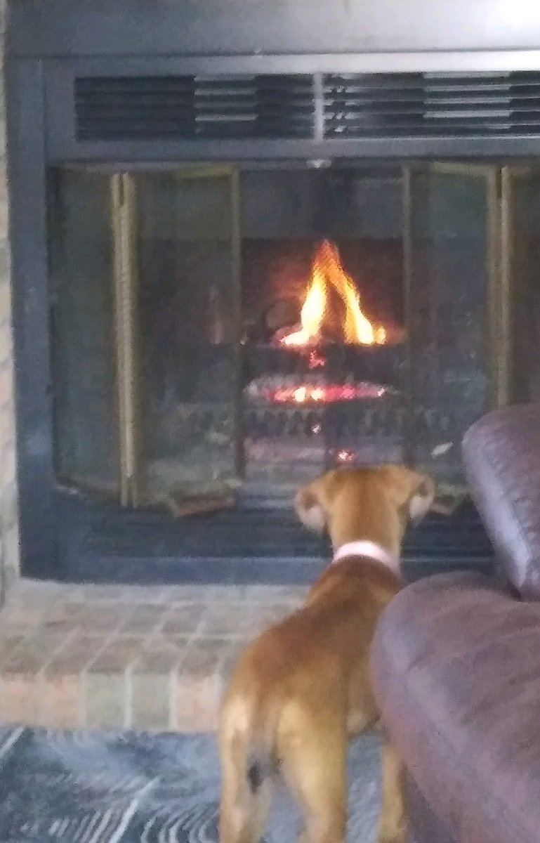 AndiMbss's tweet image. What will 2024 look like ..?

And..the government will be on His shoulders.   

Check out new @andispic series, January 12, 2024.  Be the change the world needs..only believe!
#prayinghands 
#ARToflivingYAHEC 
#MBSSYAHEC