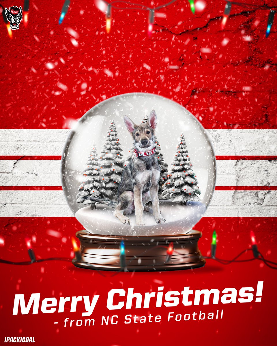 PackFootball's tweet photo. From our Pack to yours, wishing everyone a very Merry Christmas

#1Pack1Goal https://t.co/iaRUbdEch6