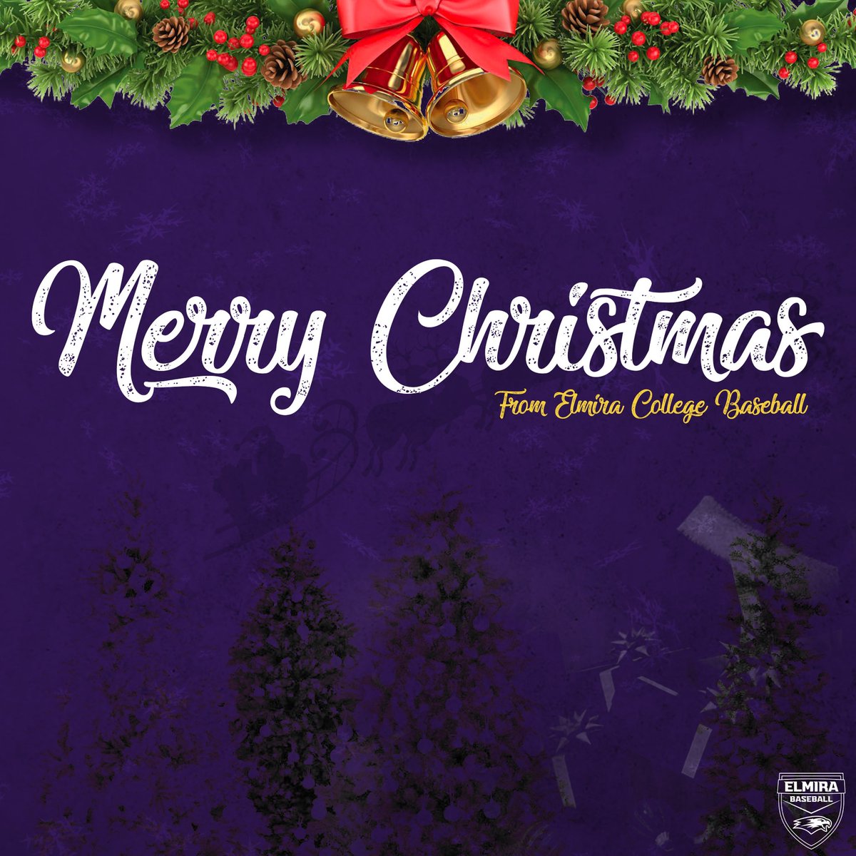 ElmiraBaseball's tweet photo. 🎄 https://t.co/aExelG7Fku