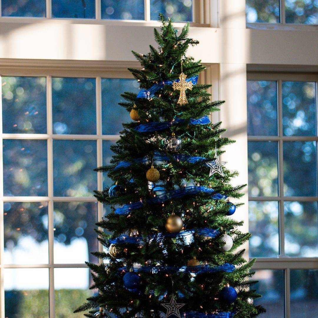 Merry Christmas, Hawks! 💙 🎄 

"For to us a child is born, to us a son is given; and the government shall be upon his shoulder, and his name shall be called Wonderful Counselor, Mighty God, Everlasting Father, Prince of Peace." - Isaiah 9:6