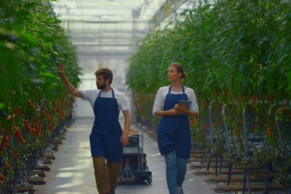 Koppert to introduce digital assistant in 2024 <a href="/Koppert/">Koppert</a> 
hortidaily.com/article/958744…
