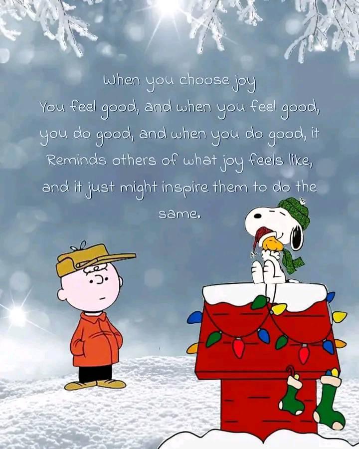 StMargBayChiro's tweet photo. Merry Christmas from St. Margaret's Bay Chiropractic! https://t.co/ASl1rpz4dc