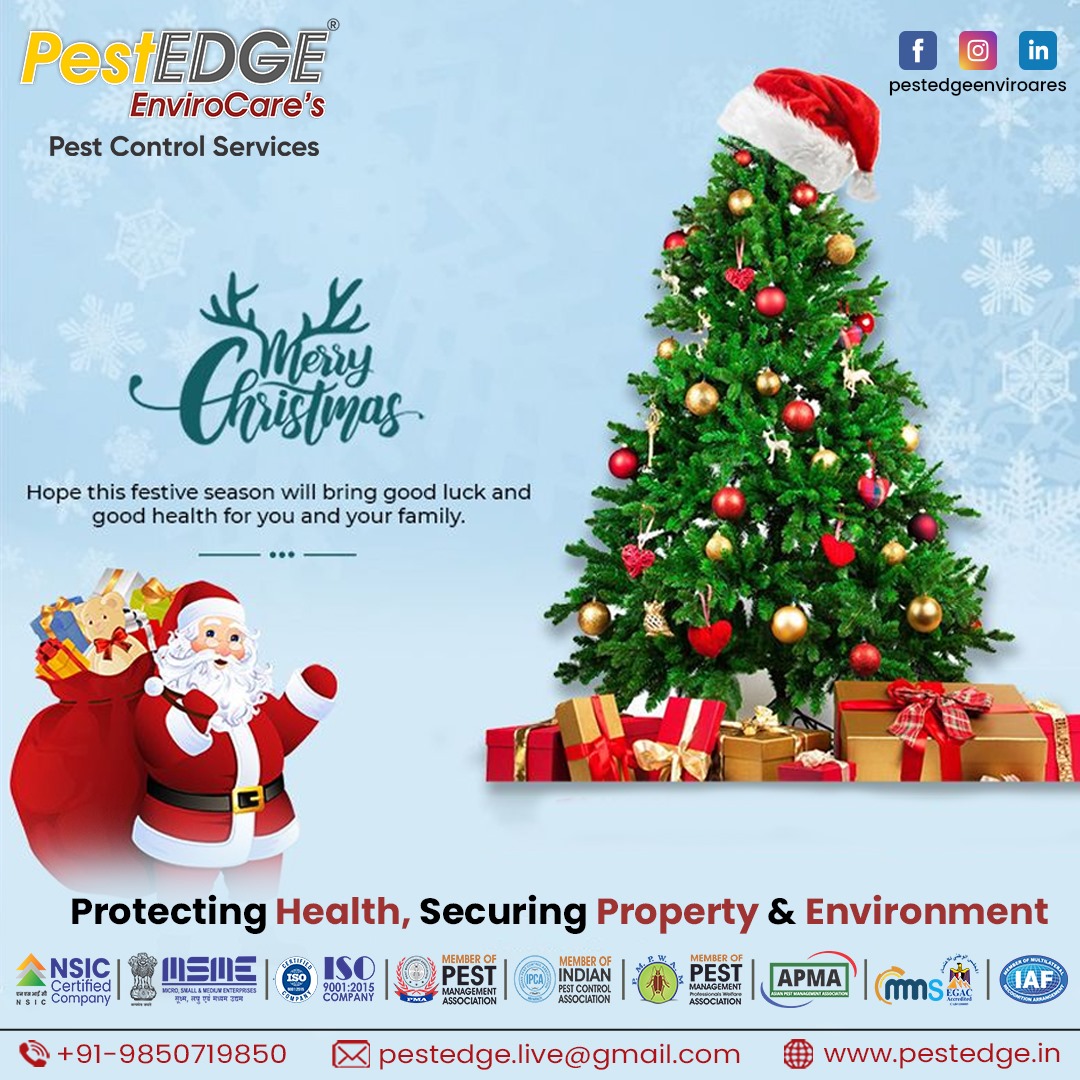 𝐌𝐞𝐫𝐫𝐲 𝐂𝐡𝐫𝐢𝐬𝐭𝐦𝐚𝐬 𝐭𝐨 𝐚𝐥𝐥!

Wishing you a season of sparkle and delight! 🎅✨ May this Christmas bring you happiness, peace, and the magic of beautiful memories.

#MerryChristmas #ChristmasSpirit #HolidayCheer #FestiveSeason #ChristmasVibes #JoyfulCelebrations