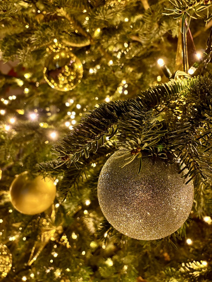 VDGH's tweet photo. 🌟 Frohes Fest! 🌟 Wir blicken dankbar auf ein Jahr voller Themen und guter Zusammenarbeit zurück. Ein herzliches Dankeschön an unsere Mitglieder! Auf ein gesundes und erfolgreiches neues Jahr! 🎄🔬 https://t.co/Y8XXtyynbU