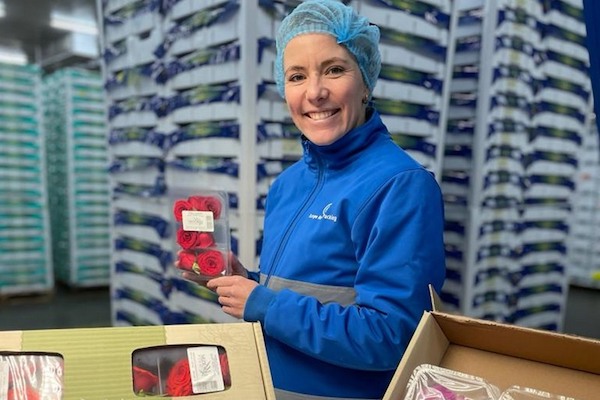 Fresh herb industry braces for Christmas as busiest week of the year while tackling challenges <a href="/ERP_BFG/">Europe Retail Packing</a> 
hortidaily.com/article/958658…